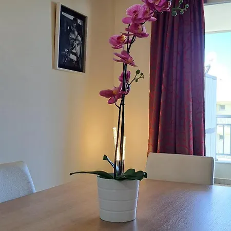 Casa Luca Apartment *