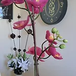 Apartman Casa Luca *
